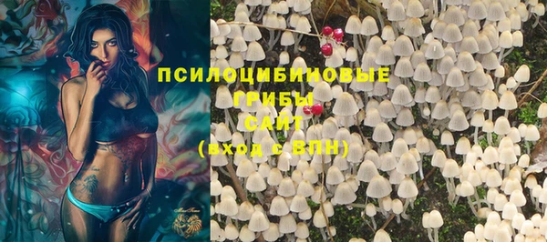 мдпв Мегион