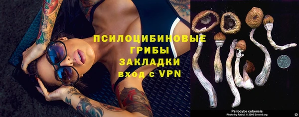 экстази Медногорск