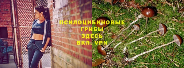 мдпв Мегион
