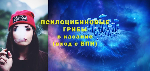 мдпв Мегион
