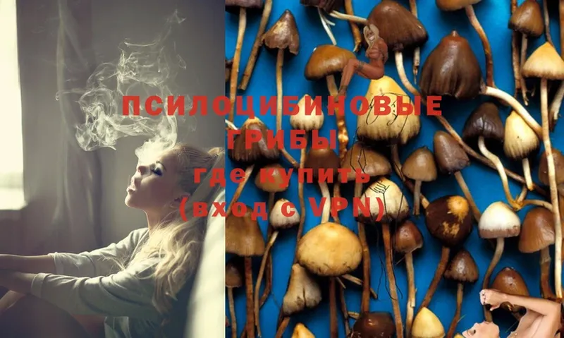 Псилоцибиновые грибы Magic Shrooms  Костерёво 